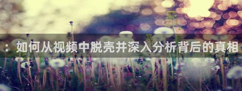 新视觉印刷：：如何从视频中脱壳并深入分析背后的真相