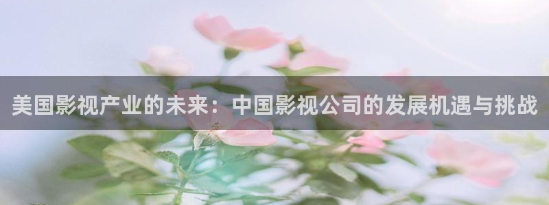 济南新视觉数码科技有限公司：美国影视产业的未来：中国影视公司的发展机遇与挑战