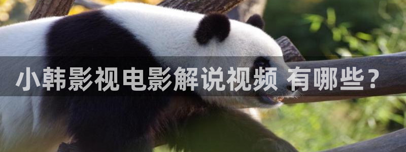 6080新视觉影视影院：小韩影视电影解说视频 有哪些？