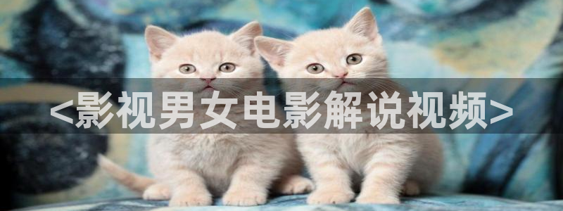 www,cn 新视觉影院：<影视男女电影解说视频>
