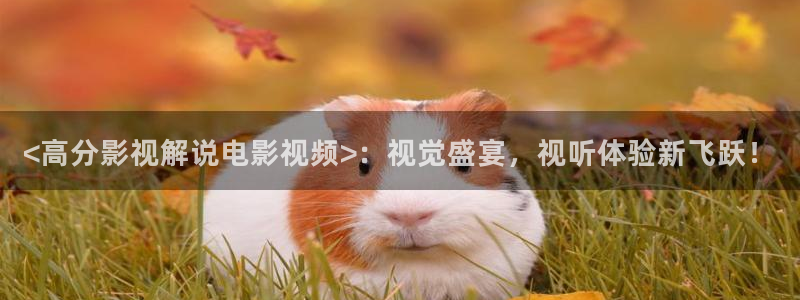 新视觉yy6080高清：<高分影视解说电影视频>：视觉盛宴，视听体验新飞跃！