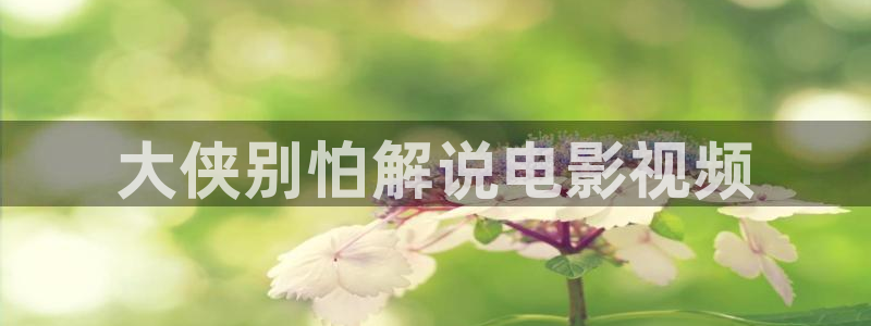 yy8090新视觉免费观看电视剧大全：大侠别怕解说电影视频